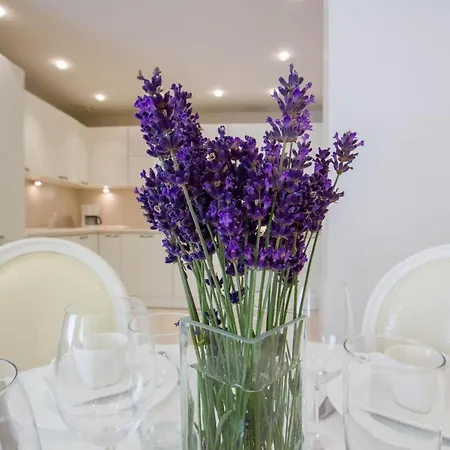 Apartment Historic Wilna